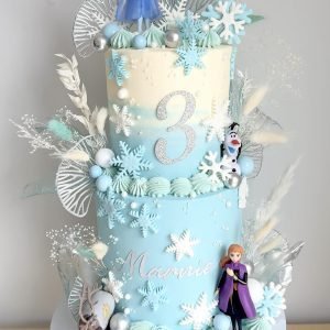 Frozen Cake V04