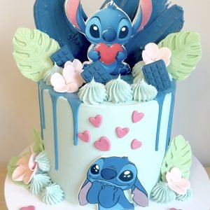 Stitch Cake V5