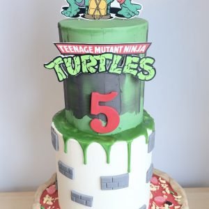 Ninja Turtles Cake V1