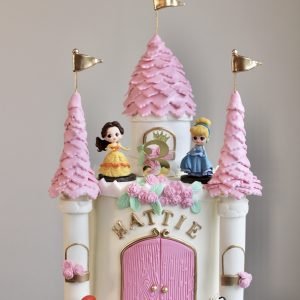 Disney Princess Cake V01