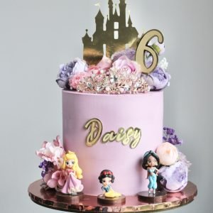 Disney Princess Cake V05