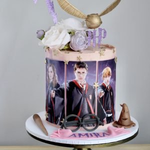 Harry Potter Cake V9