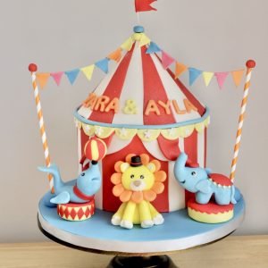 Circus Cake