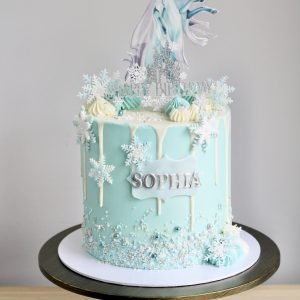 Frozen Cake V07