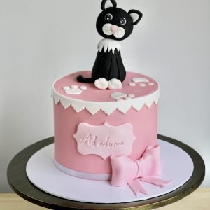 Black and White Cat Cake