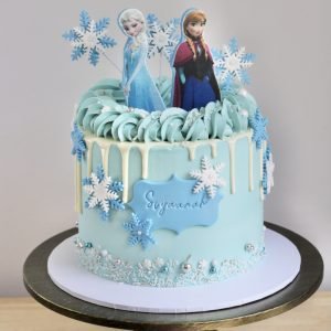 Frozen Cake V08