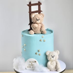 Teddy Bear Cake V04