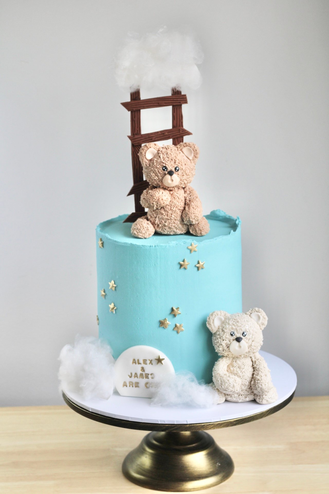 Teddy Bear Cake V04