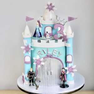 Frozen Cake V09