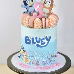 Bluey Cake V4