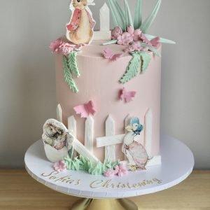 Peter Rabbit Cake V2