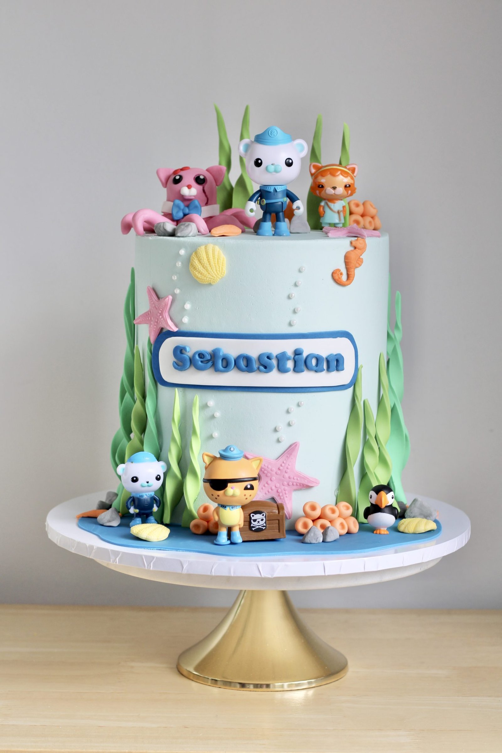 Octonauts Cake