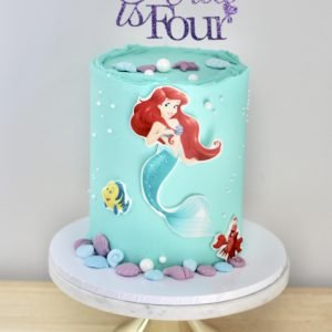 Ariel Cake V4