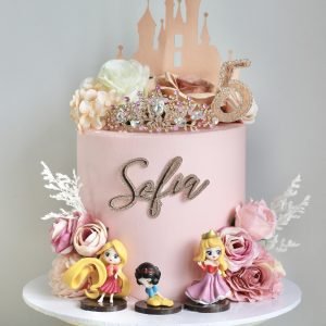 Disney Princess Cake V10