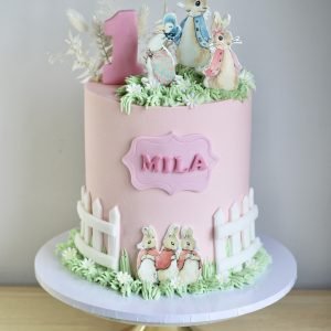 Peter Rabbit Cake V3