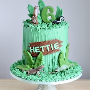 Jungle Wildlife Cake