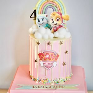 Paw Patrol Cake V7