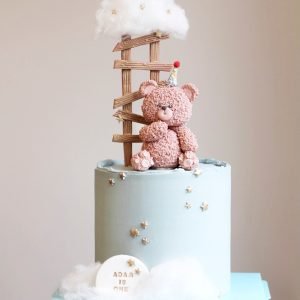 Teddy Bear Cake V05