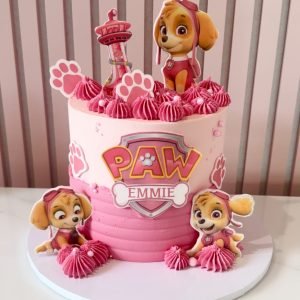 Paw Patrol Cake V6
