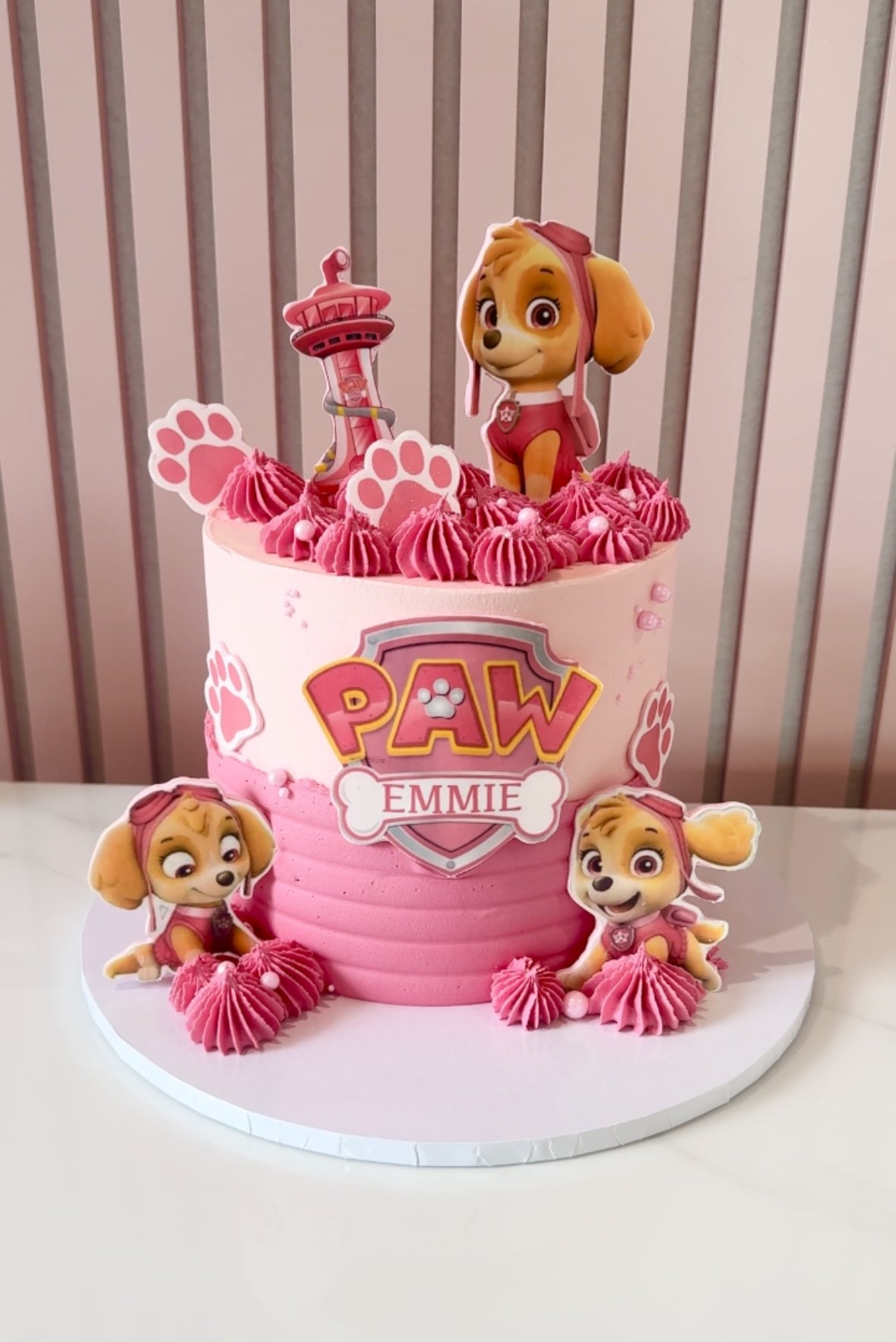 Paw Patrol Cake V6
