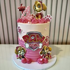 Paw Patrol Cake V6
