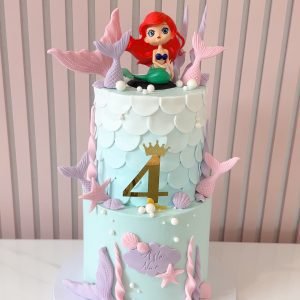 Ariel Cake V5