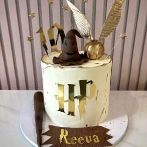 Harry Potter Cake V6