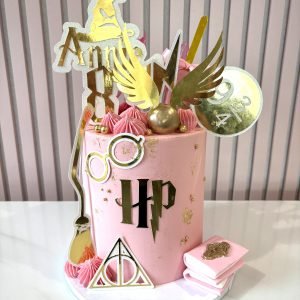 Harry Potter Cake V8