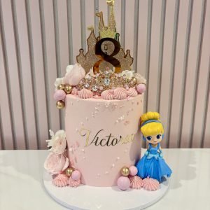 Disney Princess Cake V14