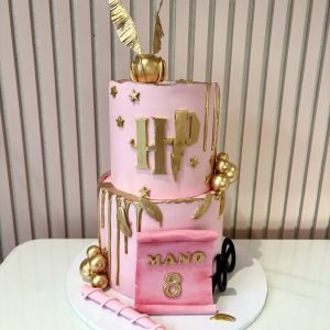 Harry Potter Cake V7