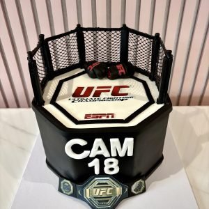 fc octagon birthday cake with cage design and fight theme by Sweet Story cake studio